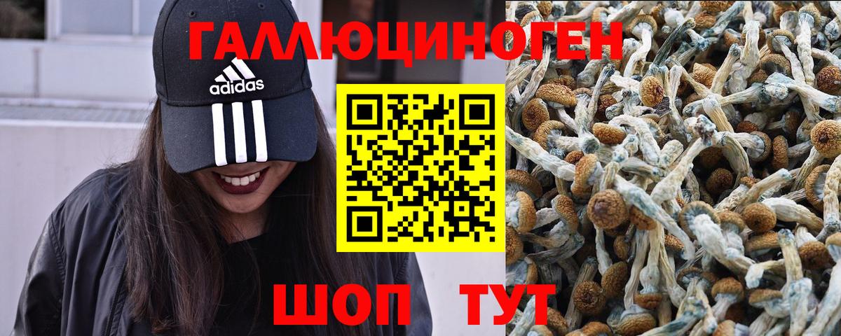 Псилоцибиновые грибы мухоморы Аша