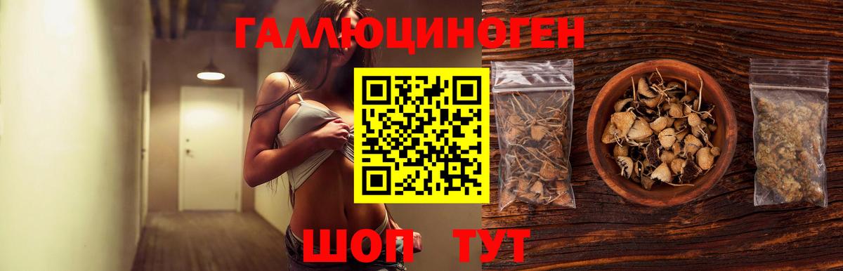 Псилоцибиновые грибы мицелий  Псилоцибиновые грибы MAGIC MUSHROOMS  Аша  Вход с VPN 